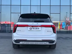 2022 Hongqi E-HS9 660km, белый — фото 4