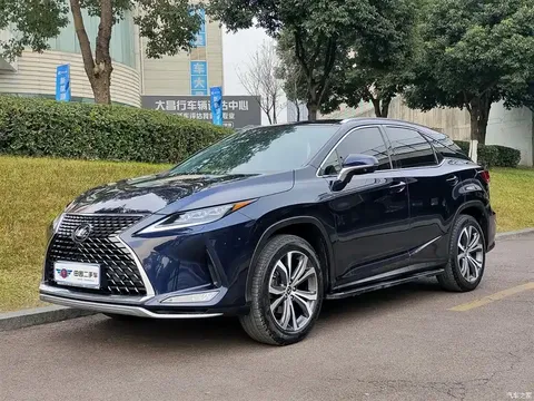 2020 Lexus RX modified 300 4WD elegant