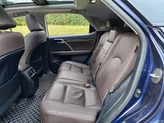 2020 Lexus RX modified 300 4WD elegant, синий — фото 8