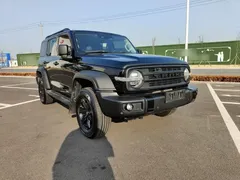 2021 Tank 300 Off-road 2.0T Conqueror, чёрный — фото 3