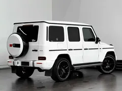 2020 Mercedes-Benz G-Class G 350, белый — фото 14