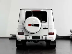 2020 Mercedes-Benz G-Class G 350, белый — фото 16