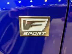 2020 Lexus RX 300 4WD F SPORT, синий — фото 20