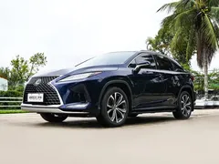 2020 Lexus RX 300 4WD VI, синий — фото 1