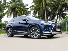 2020 Lexus RX 300 4WD VI, синий — фото 3