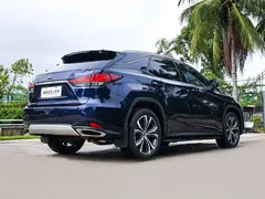 2020 Lexus RX 300 4WD VI, синий — фото 6