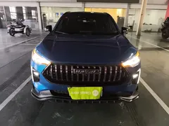 2021 Haval Chitu 1.5T Jiqing Platinum Rabbit, синий — фото 19