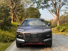 2022 Jetour Jietu Monkey King 1.6T DCT King PRO — фото 2