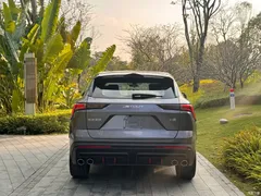 2022 Jetour Jietu Monkey King 1.6T DCT King PRO — фото 10