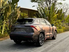 2022 Jetour Jietu Monkey King 1.6T DCT King PRO — фото 11
