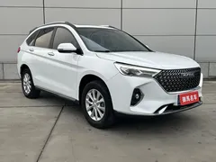 2021 Haval M6 PLUS 1.5T DCT, белый — фото 5