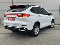 2021 Haval M6 PLUS 1.5T DCT, белый — фото 6