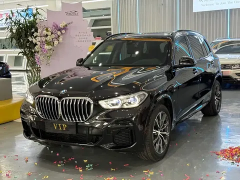 2022 BMW X5 30Li M
