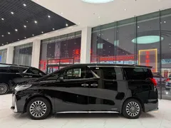 2020 Lexus LM 300h, чёрный — фото 13