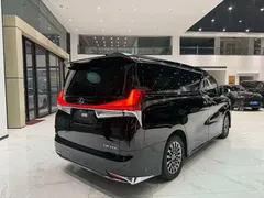 2020 Lexus LM 300h, чёрный — фото 14