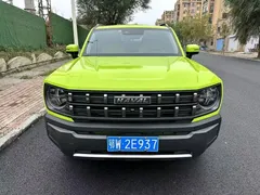 2022 Haval Cool Dog 1.5T DCT 2WD, зелёный — фото 2