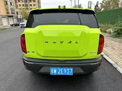 2022 Haval Cool Dog 1.5T DCT 2WD, зелёный — фото 13