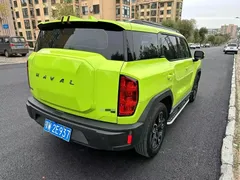 2022 Haval Cool Dog 1.5T DCT 2WD, зелёный — фото 14