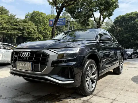 2022 Audi Q8 55 TFSI luxury dynamic model
