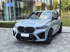 2023 BMW X5 M X5 M Thunder — фото 1