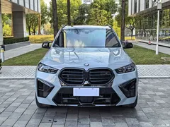 2023 BMW X5 M X5 M Thunder — фото 2