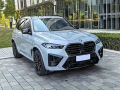 2023 BMW X5 M X5 M Thunder — фото 3