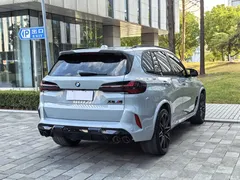 2023 BMW X5 M X5 M Thunder — фото 46