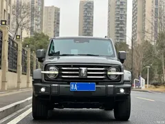 2023 Tank 300 City 2.0T Very Stylish — фото 2