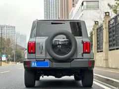 2023 Tank 300 City 2.0T Very Stylish — фото 5