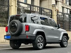 2023 Tank 300 City 2.0T Very Stylish — фото 6