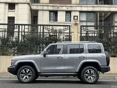2023 Tank 300 City 2.0T Very Stylish — фото 7