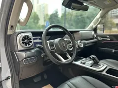 2023 Tank 300 City 2.0T Very Stylish — фото 8