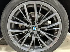 2021 BMW 3 Series 3 325Li M, синий — фото 15