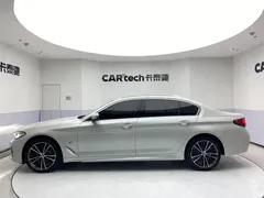 2021 BMW 5 Series 530Li Leading M Sport Package, белый — фото 8