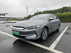 2023 BYD Qin PLUS Champion EV 420km — фото 1