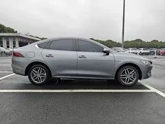 2023 BYD Qin PLUS Champion EV 420km — фото 4