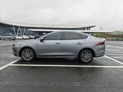 2023 BYD Qin PLUS Champion EV 420km — фото 8