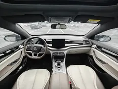 2023 BYD Qin PLUS Champion EV 420km — фото 11
