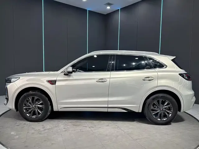2023 Hongqi HS5 2.0T Pro