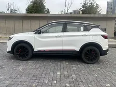 2023 Geely Coolray 1.5T DCT Diamond, белый — фото 7