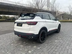 2023 Geely Coolray 1.5T DCT Diamond, белый — фото 16