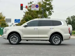 2022 Tank 500 3.0T Sport Environment-friendly 5-seater — фото 4