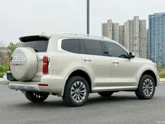2022 Tank 500 3.0T Sport Environment-friendly 5-seater — фото 7