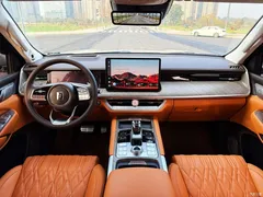 2022 Tank 500 3.0T Sport Environment-friendly 5-seater — фото 13