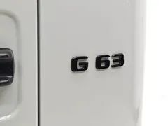 2020 Mercedes-Benz G-Class G 500, белый — фото 20