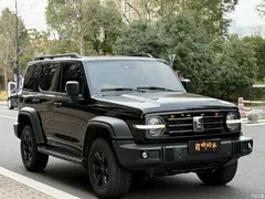 2021 Tank 300 Off-Road 2.0T Conqueror, чёрный — фото 3