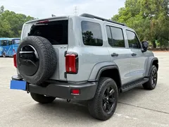 2021 Tank 300 Off-Road 2.0T Conqueror — фото 16