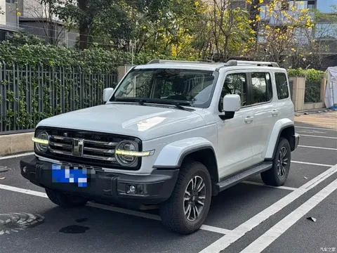 2021 Tank 300 City 2.0T My review