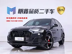 2022 Audi Q7 55 TFSI quattro S line Ice and Snow Sport — фото 1