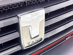 2021 Tank 300 Off-Road 2.0T Conqueror — фото 12